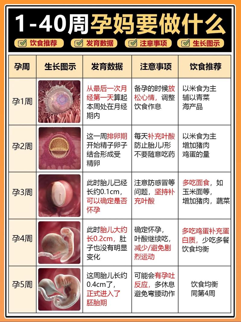 怀孕历程