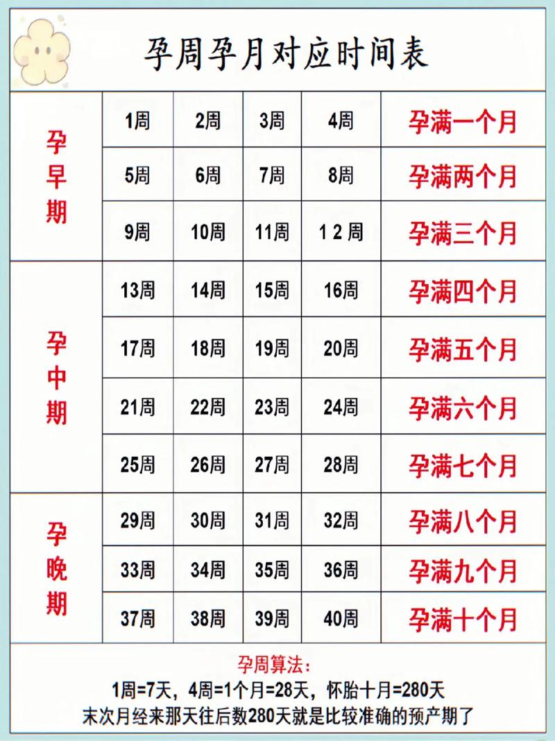 怀孕成功率