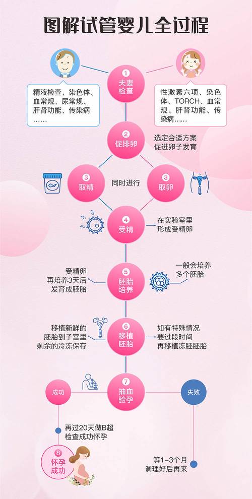 揭秘：影响试管婴儿存活率的因素