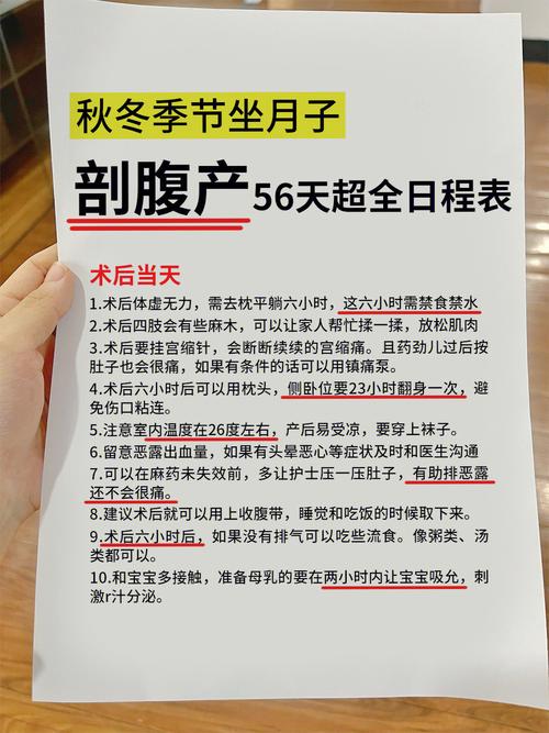 56天