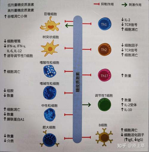  激素疗法