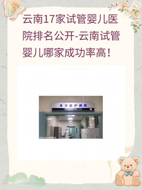 昆明试管婴儿医院推荐：哪里的成功率高？