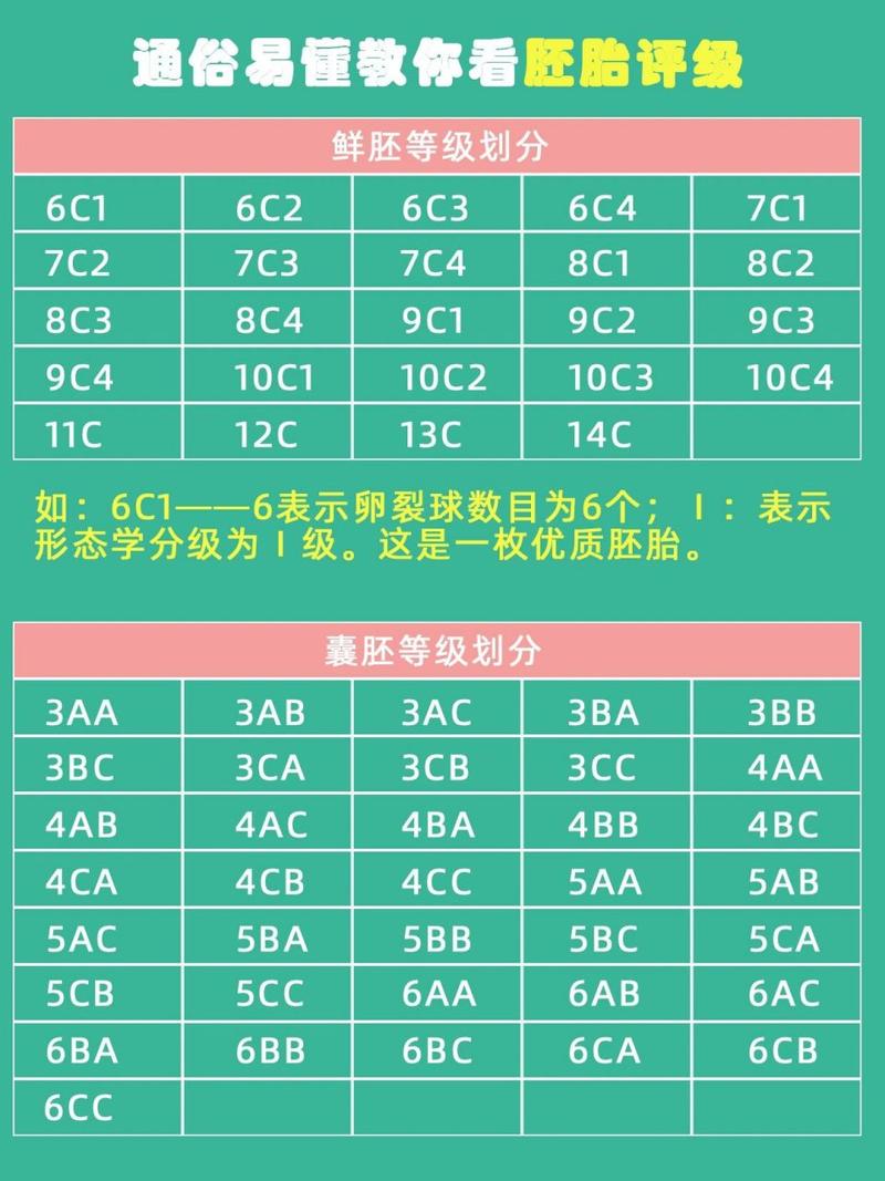 揭秘试管婴儿：剩下的胚胎命运如何？