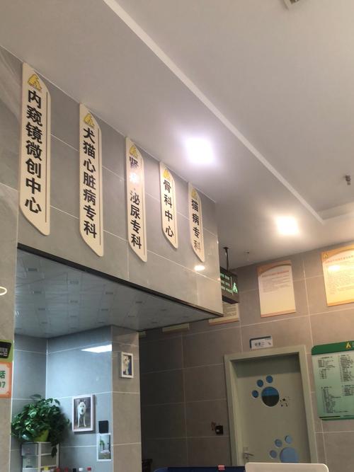 性价比高的医院
