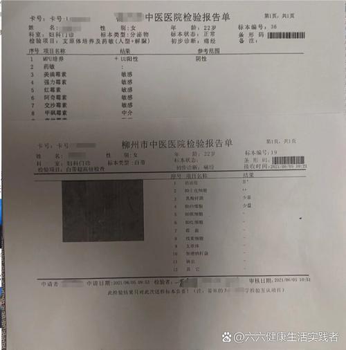 抗子宫内膜抗体