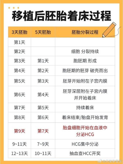 胚胎移植数量