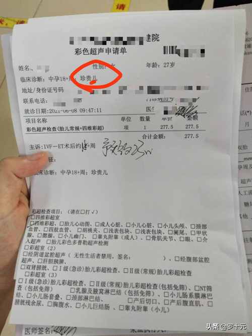 试管婴儿详细信息