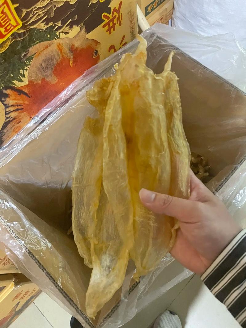  花胶