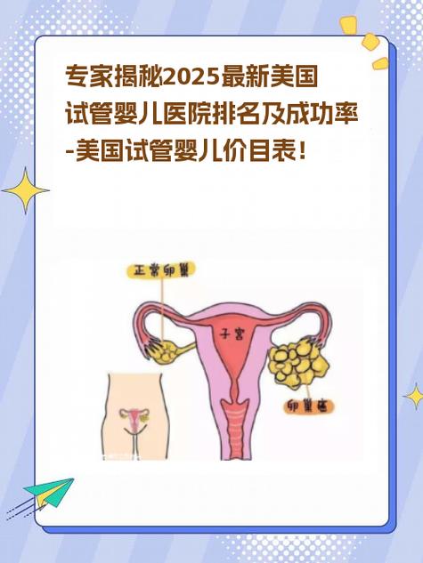 美国试管婴儿服务知名提供商分析