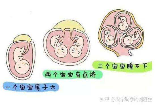 试管婴儿与多胞胎的机率：你知多少？