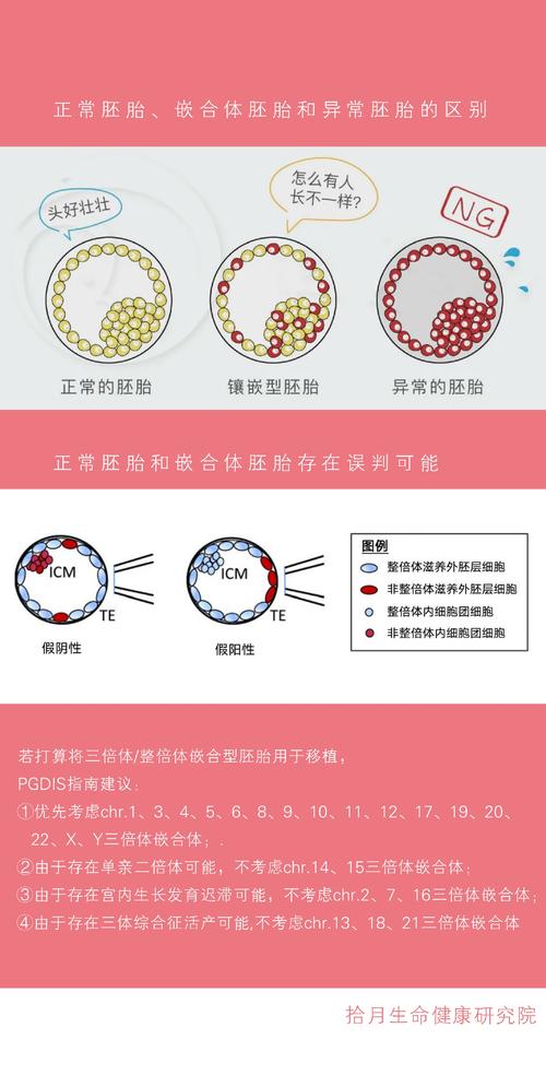  卵子层嵌合体