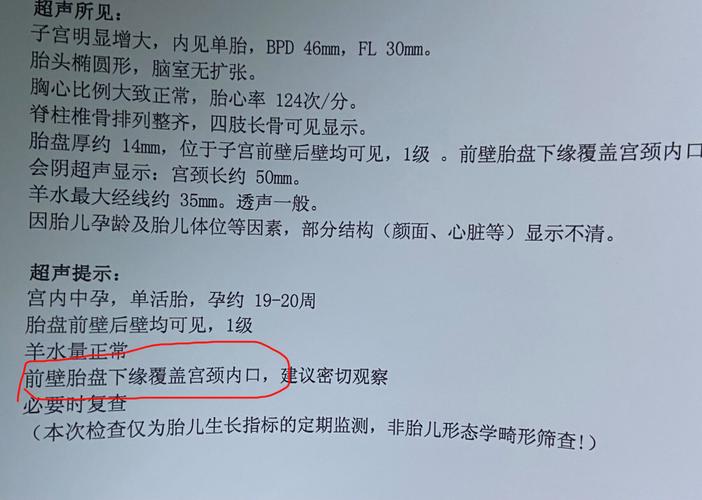 18周胎盘低位