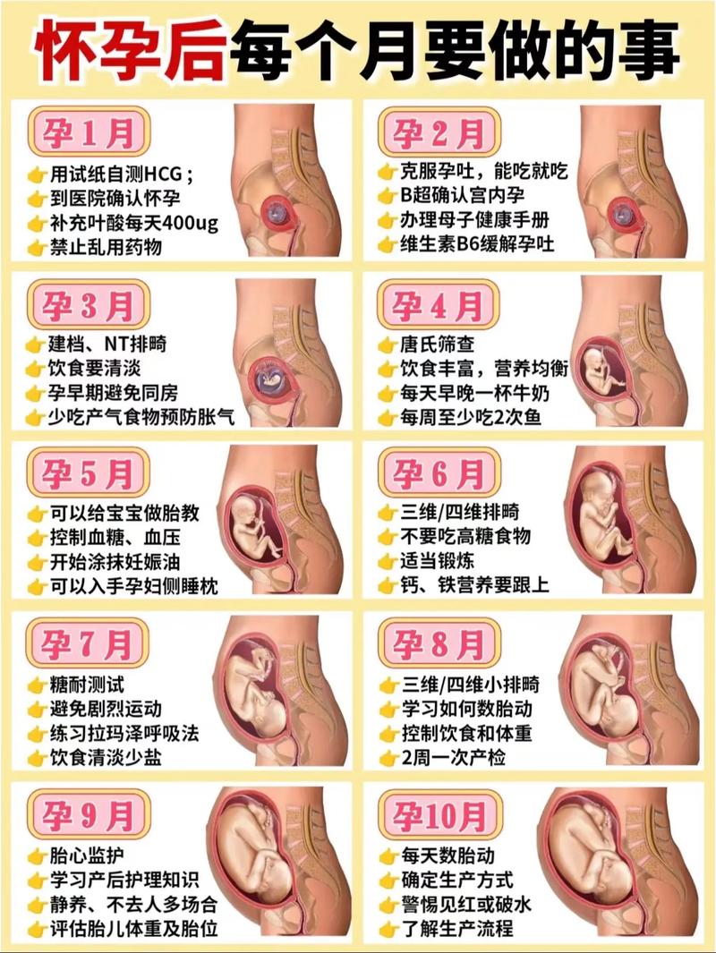 孕育经验