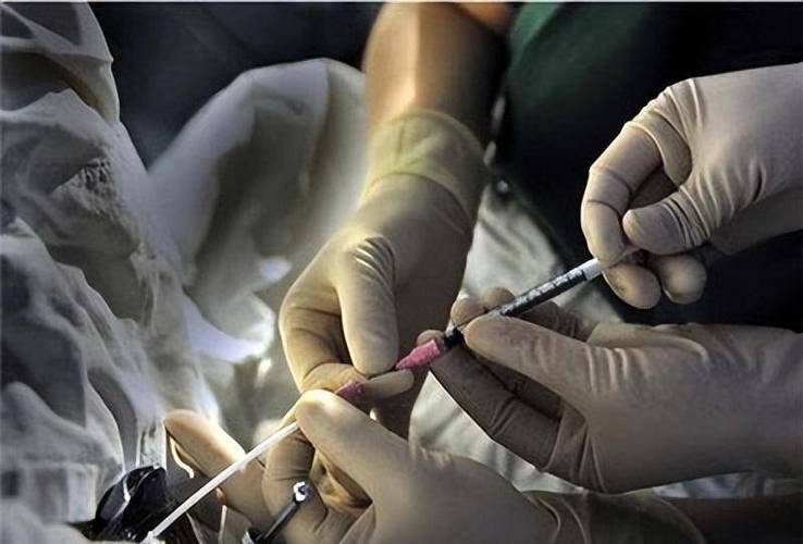 中国目前对试管婴儿的真实态度是什么？