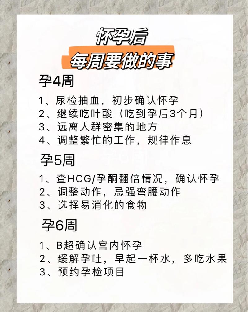 孕期解析