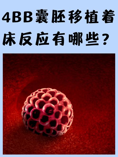 试管婴儿胚胎移植后几周有反应？