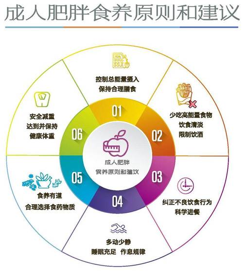  营养管理