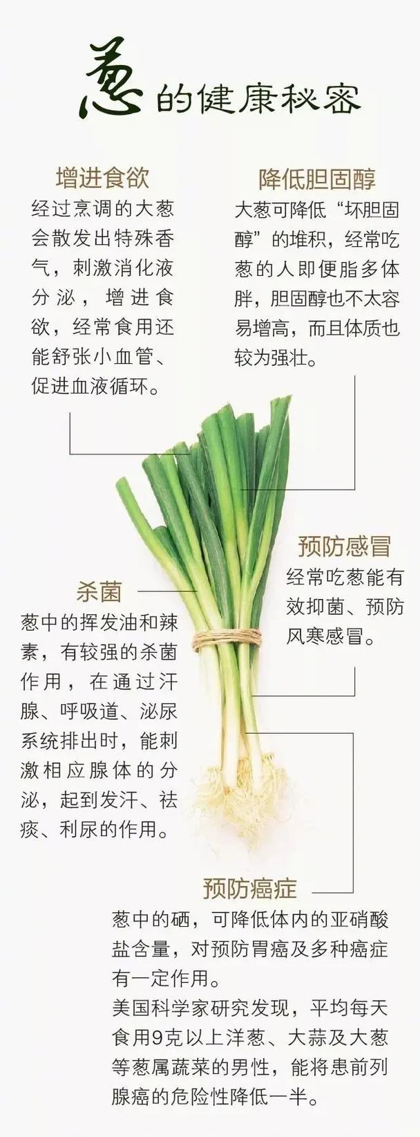 葱的影响