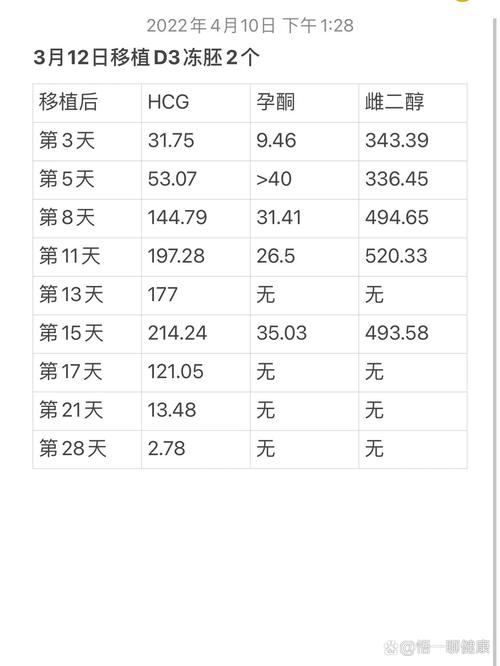 移植28天