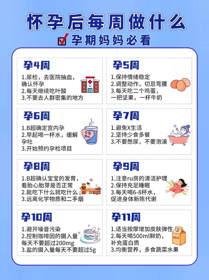 孕育计划