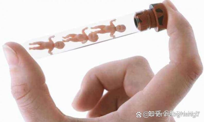 试管婴儿过程中胎停现象是否可以退款？