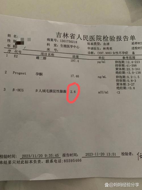 hCG检测