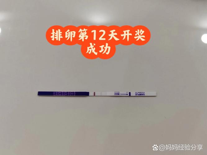 12天检测