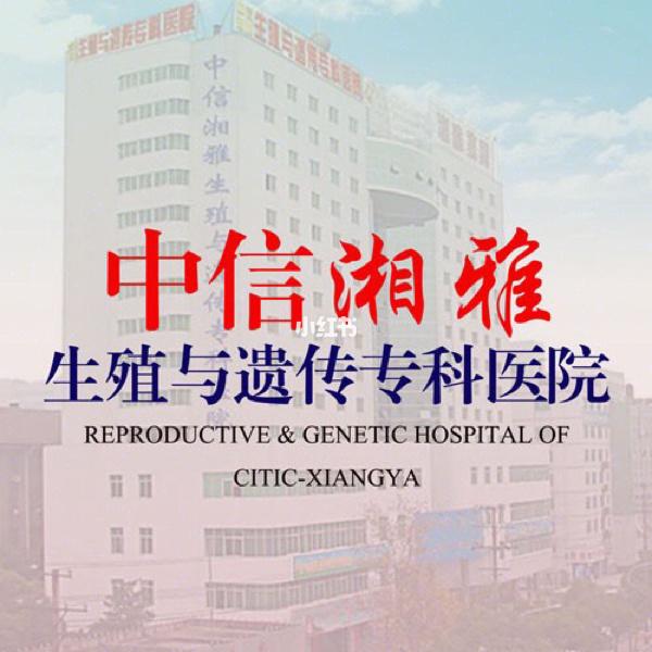 中信试管婴儿
