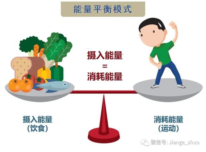  能量摄入