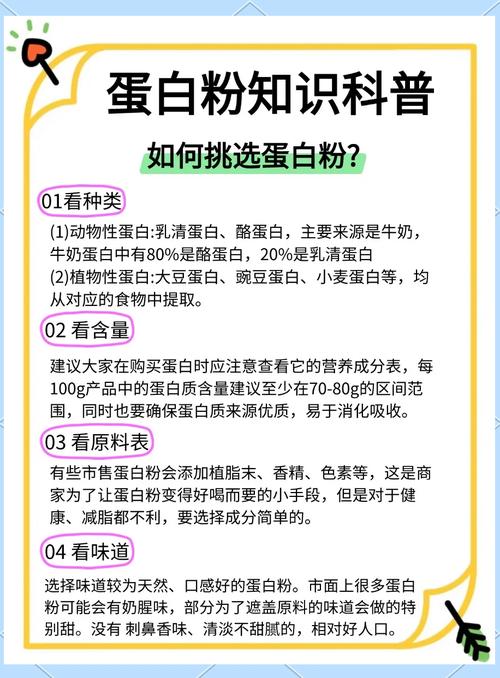 蛋白粉作用