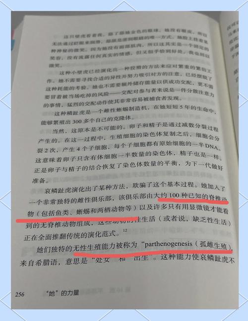 生殖奇迹