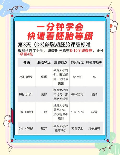  胚胎质量评估
