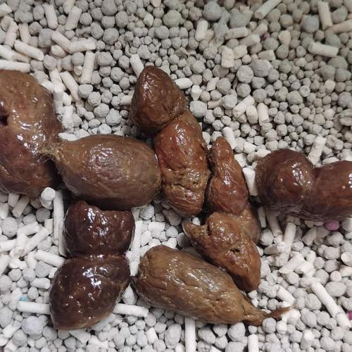 大便血丝