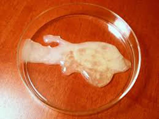 用错精子