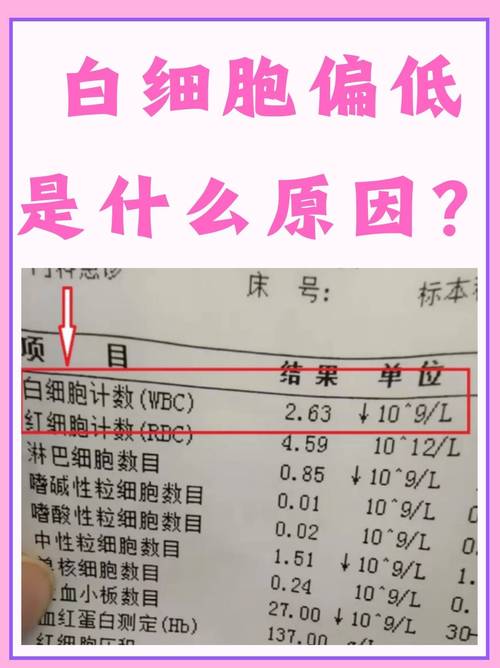 白细胞数量