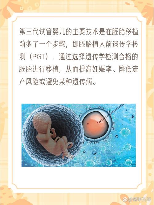 大陆第三代试管婴儿