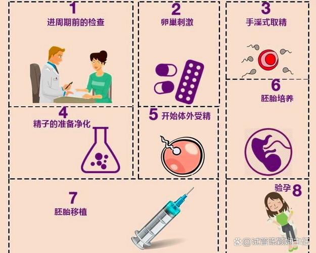 试管婴儿从取卵到胚胎移植需要多久时间？