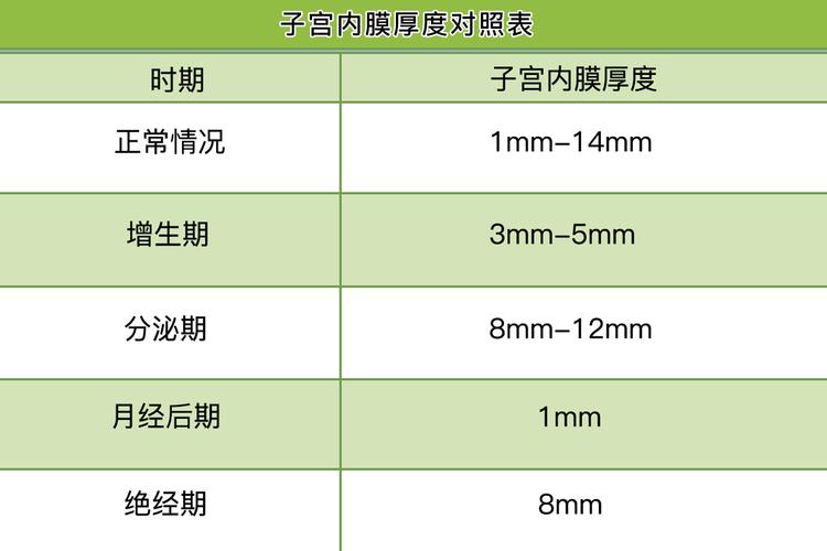子宫内膜厚度9