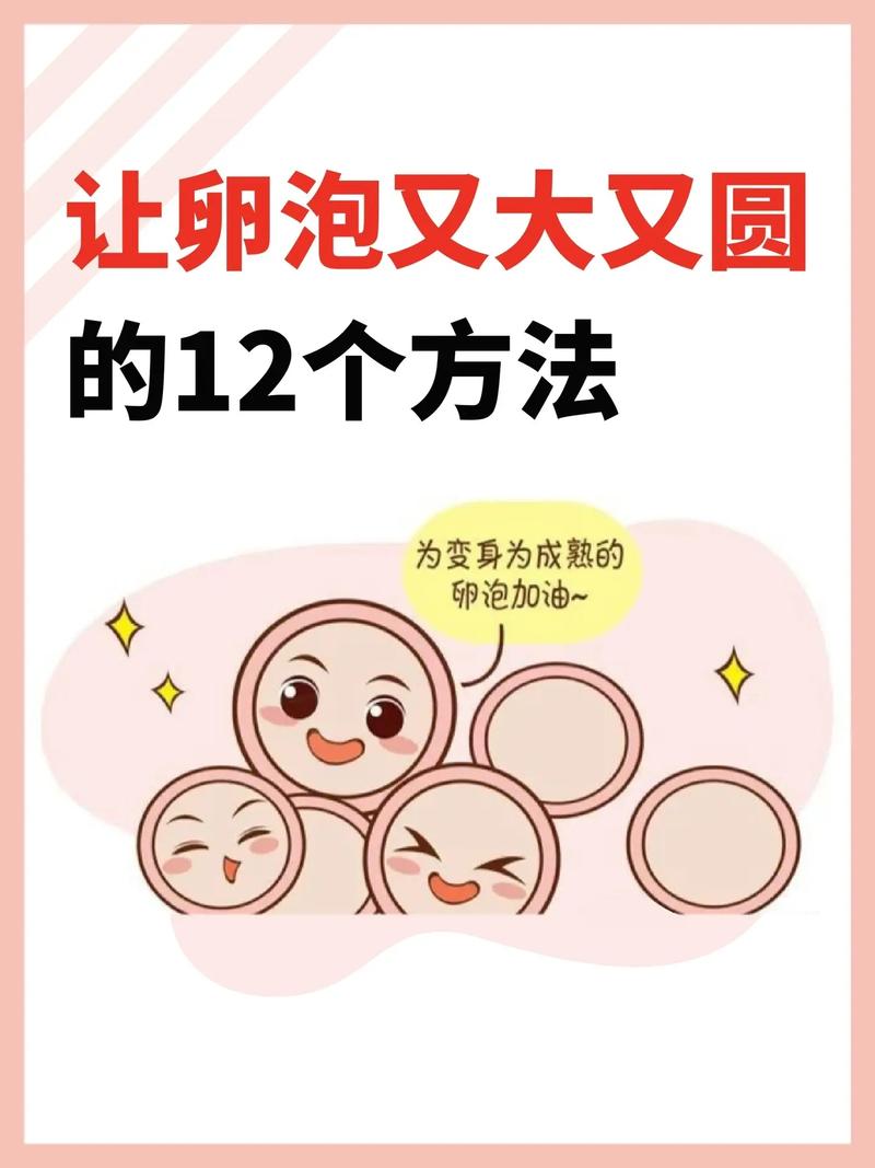 卵泡获取