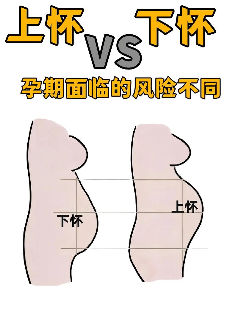 孕育区别