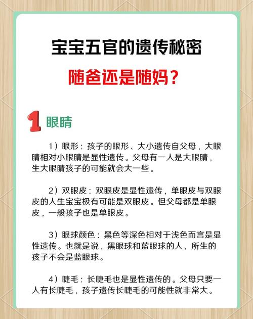 相貌遗传