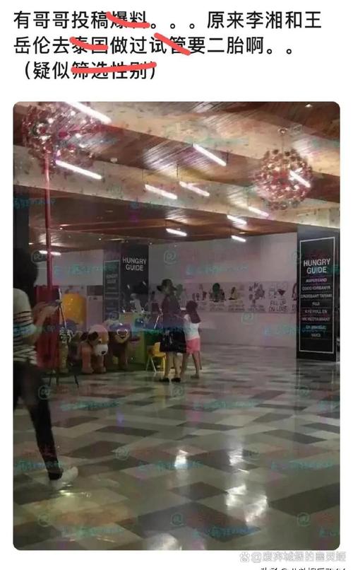 李湘为何选择泰国做试管婴儿手术？