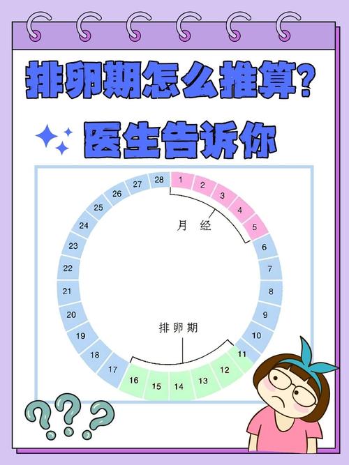 催卵周期