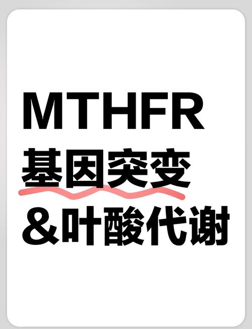 基因突变风险