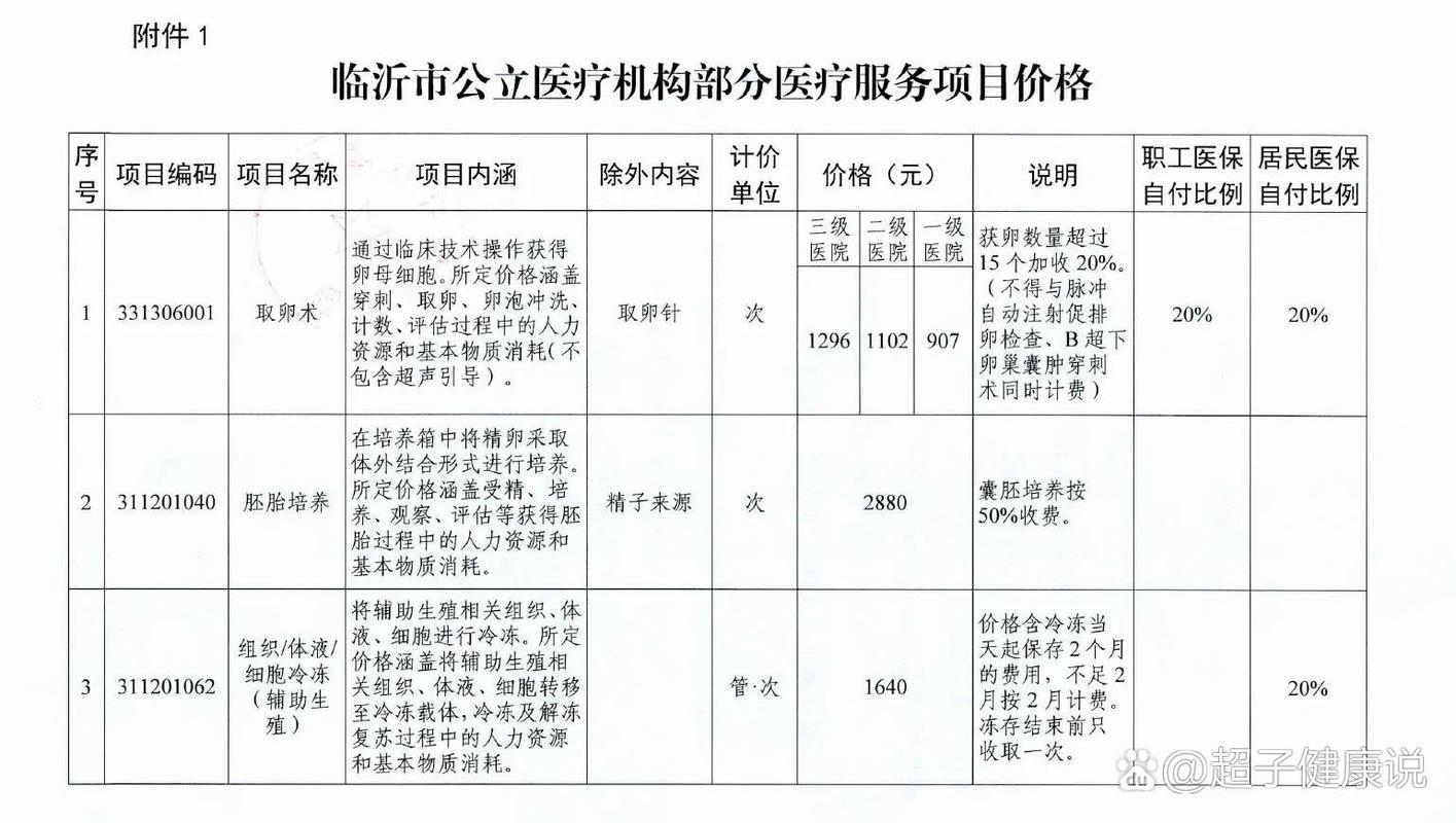 山东试管婴儿政策