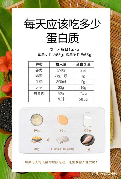 蛋白质摄入