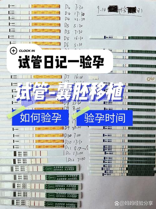 试管婴儿植入后多久可以验孕？