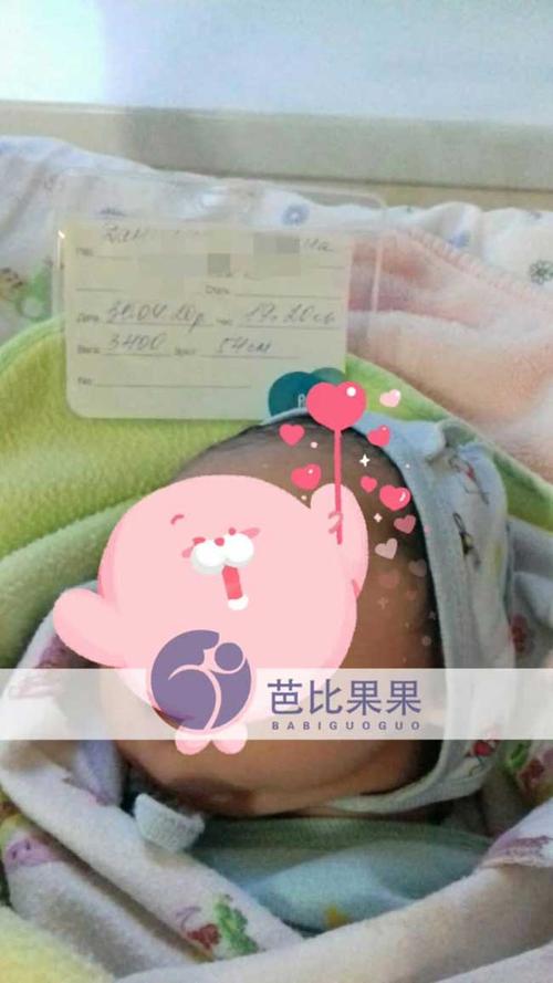 自卵试管婴儿