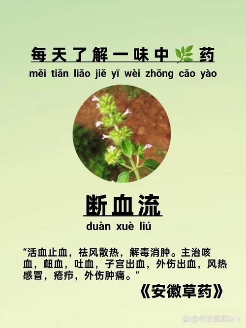 出血副作用