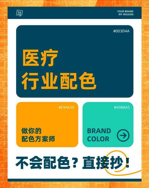  医疗选择